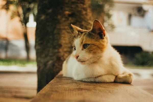 What are the emerging tech trends in the UK for 2025?