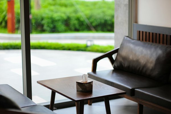 How Does Having a Pet in the UK Impact Your Lifestyle Choices?